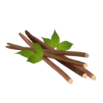 pngtree-chinese-herbal-medicine-licorice-illustrations-free-image_1180991-removebg-preview